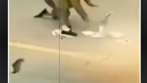 short video
