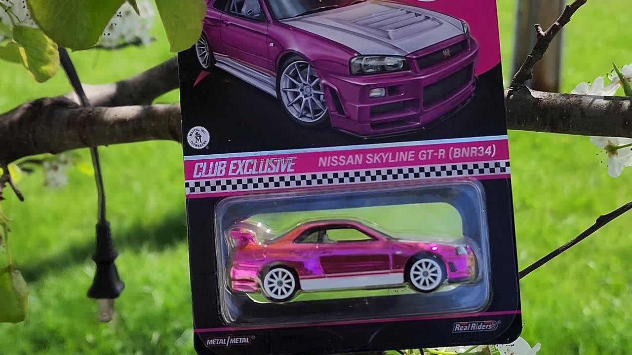 Hotwheels RLC Pink Skyline R34