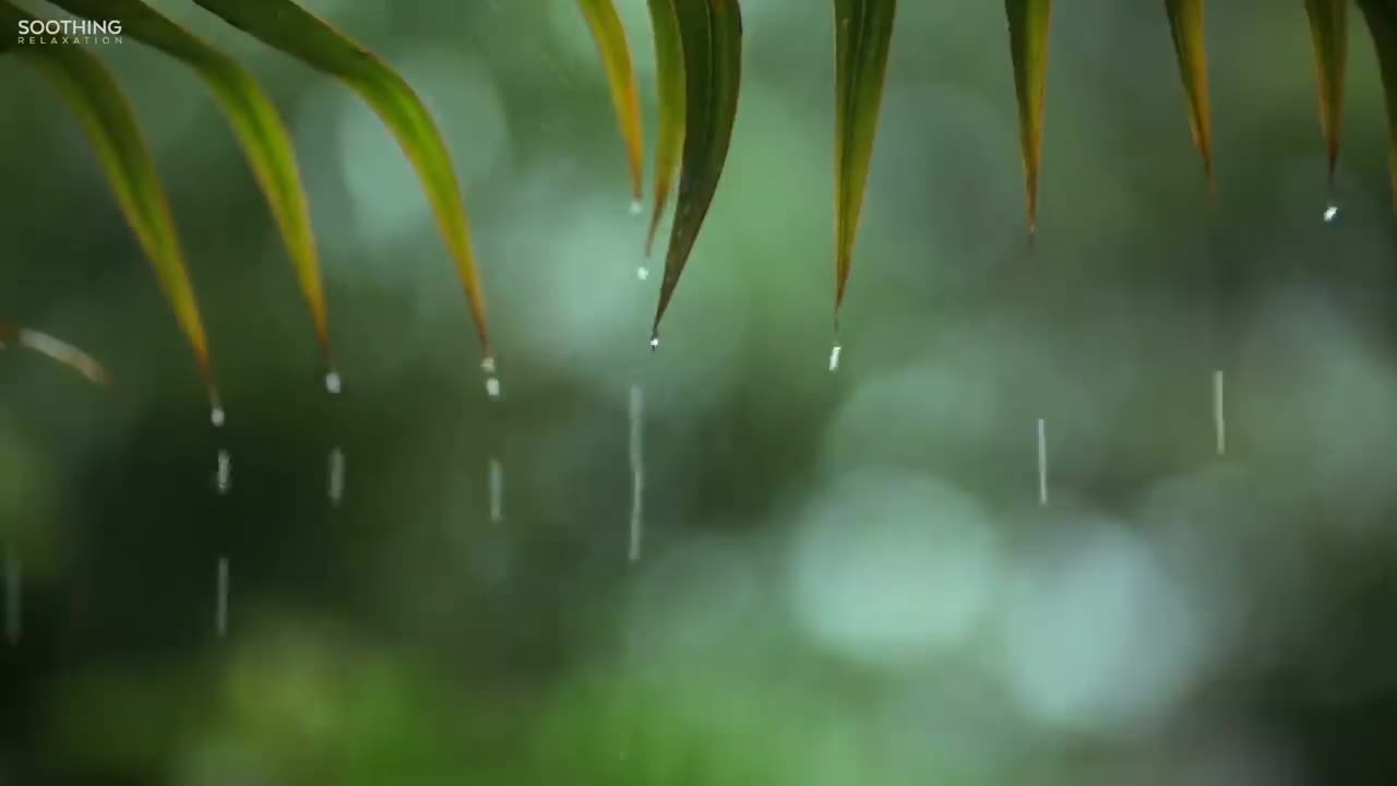 Relaxing Piano, Soft Rain drops , Calming , Soothing Music