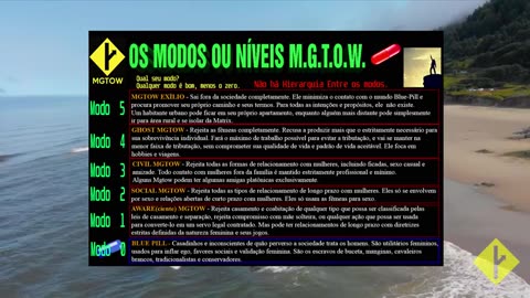 Von Baster - Os níveis MGTOW