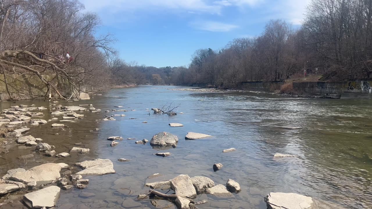 Humber River flow Dundas St Toronto