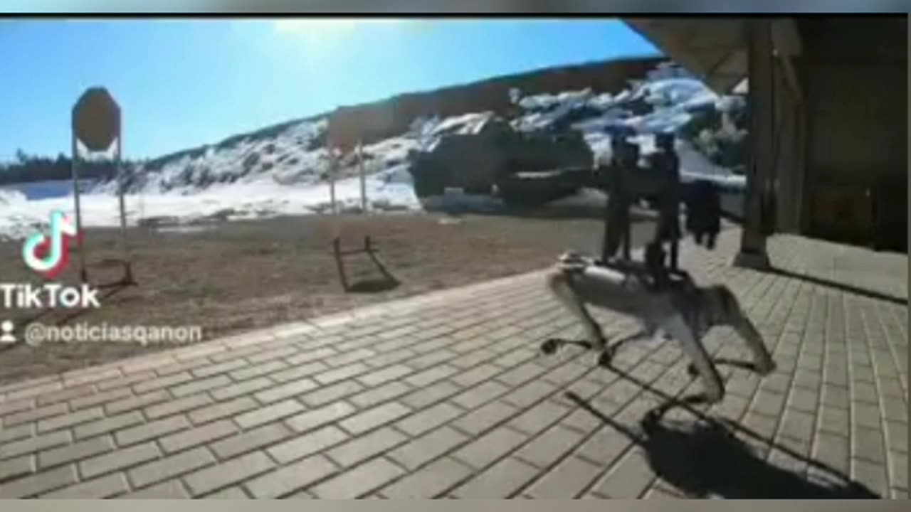Perrobot asesino uso de la elite Alerta