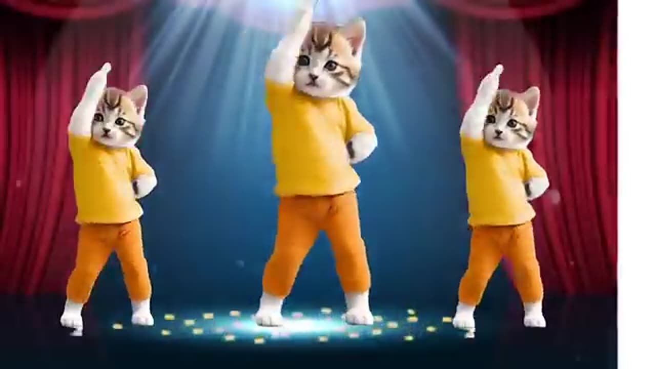 Cat videos funny dance 💃 😺🥰videos for cat lovers #dancingcat #catlovers