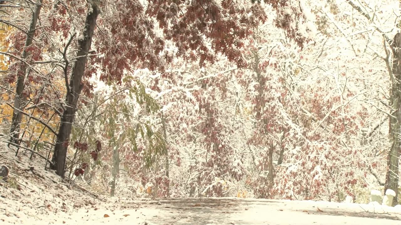 SNOWING JAZZ LOFI 🎄❄️☃️