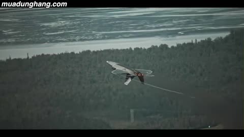 The American F22 plane took off crazy vertically