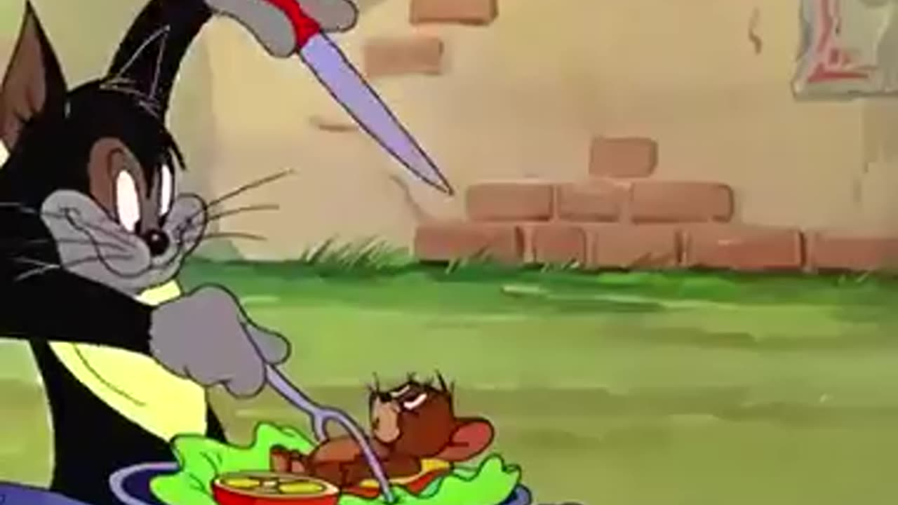 Tom and Jerry