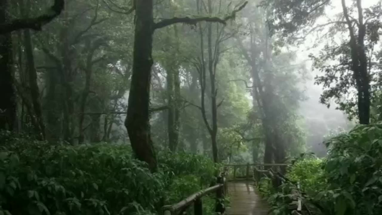 Cloudy and rainy days are the best