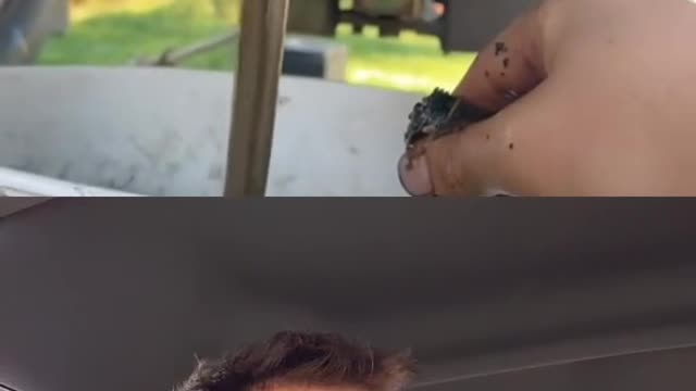 why is he with this face?