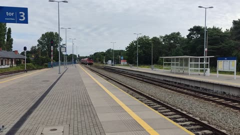 Polregio/Gdynia Gł. - Hel - Gdynia Gł./