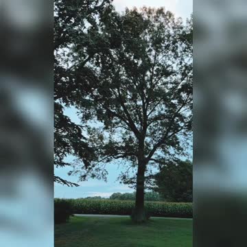 Sizzlin' Hot Sounds Of Summer