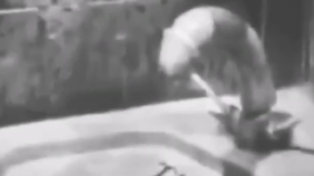 Funny Viral Video𤣠| 2023 funny video | UEI