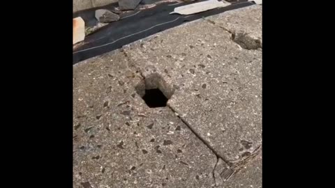 Cats🐈Like😼Tight🖕Holes🕳️🤪😎🍺
