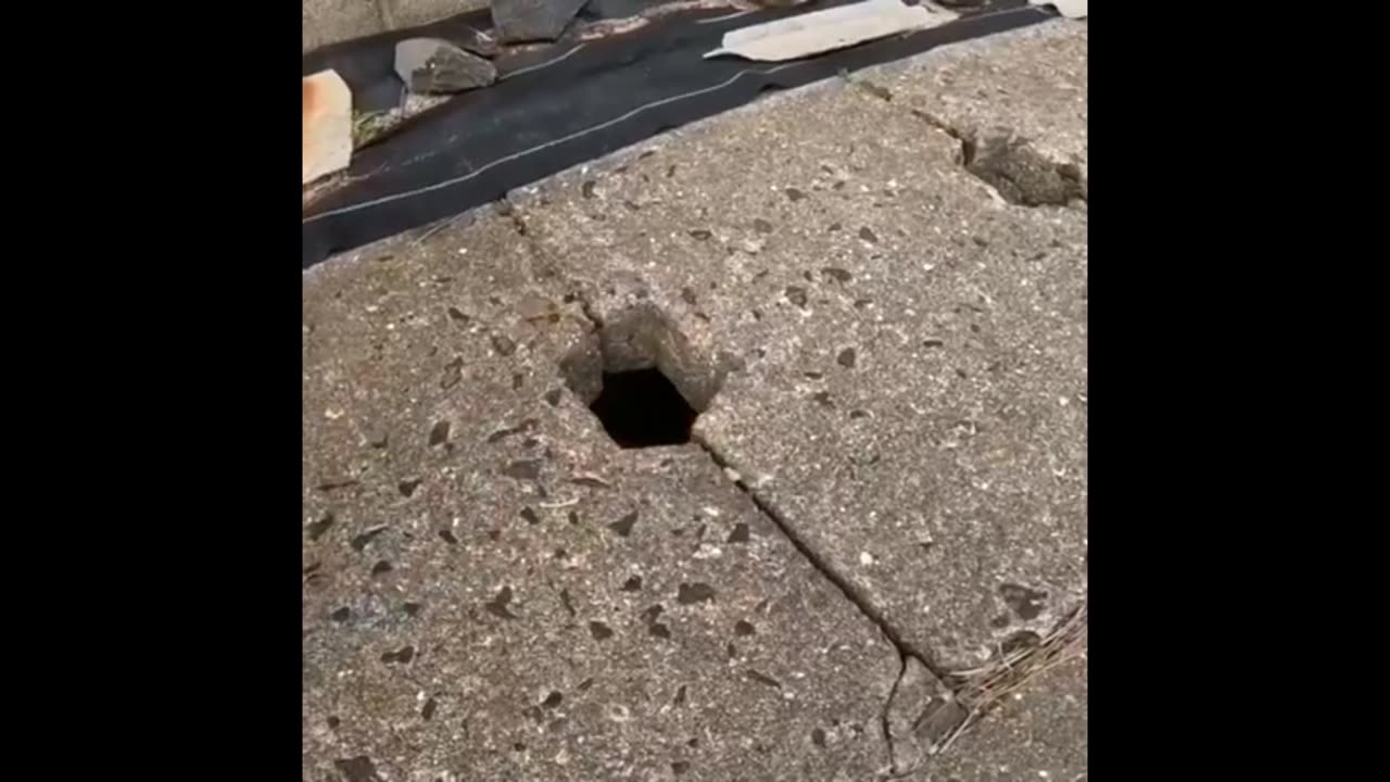 Cats🐈Like😼Tight🖕Holes🕳️🤪😎🍺