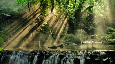Relaxing Music | Sleeping, Meditation, Stress Relief | [7391] ⭐️