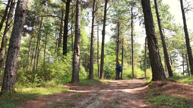 Close your eyes and imagine you are in a forest.