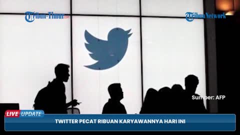 Sepekan Jadi Pemilik Twitter, Elon Musk Pecat 7 500 Karyawan Sampai Menutup Kantor Sementara