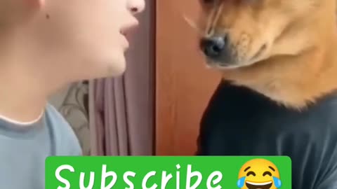 funny dogs dubbing. subscribe for more funny videos