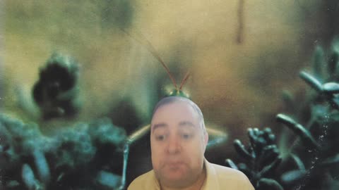 Black Friday In Song