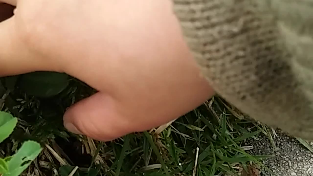 Biking in neighborhood Part 2