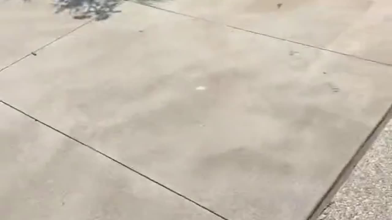 Video of multiple victims lying on floor at outlet mall in Allen Texas