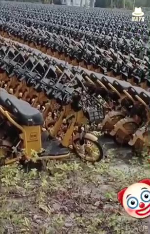 Green new deal my ass lies and lies and lies while you are hiding your head in the sand