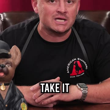 Top 3 Dog Breeds for Seniors