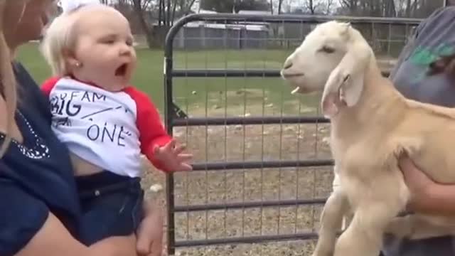 adorable baby and animas making you laugh a lot