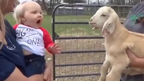 adorable baby and animas making you laugh a lot