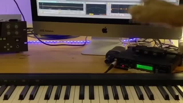 Dogs that play the piano and surf the Internet