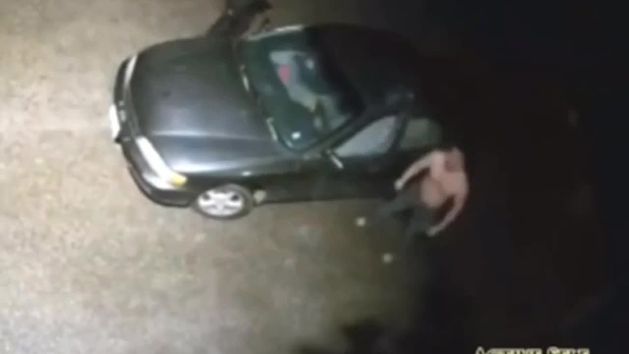 Some people get all the fun.