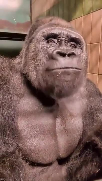 Oop! did someone hear that_ I guess not..