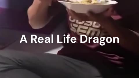 Crazy and Funny Videos!