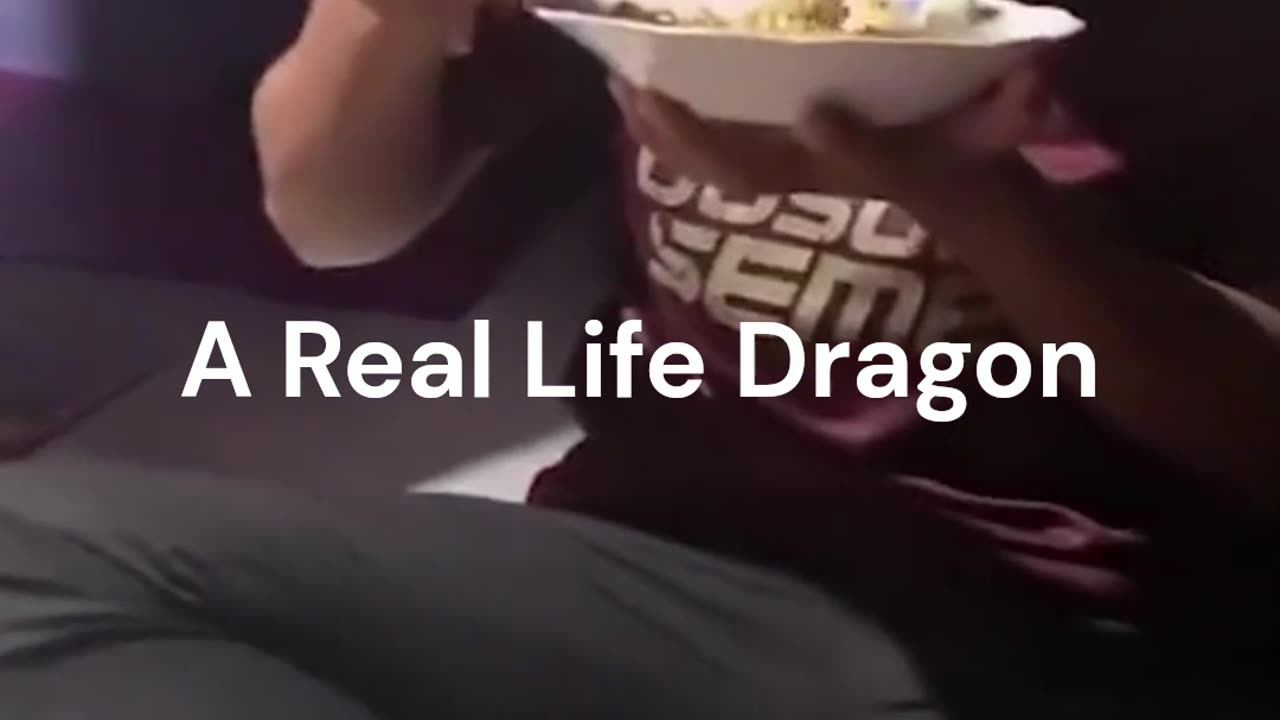 Crazy and Funny Videos!