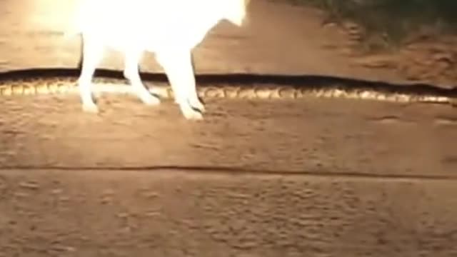 lil too busy worried about snacks