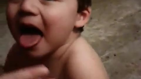 ANTS ATTACK