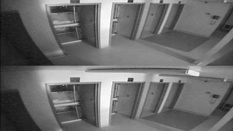 1704CRIB01CribAnalysisArea_2021-01-05_04h40min01s983ms.mp4