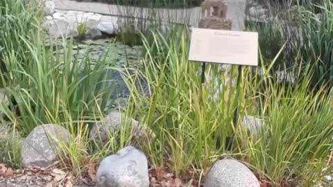 Fall time in America, it is time for "harvest" and time to EXPOSE 10/5/22