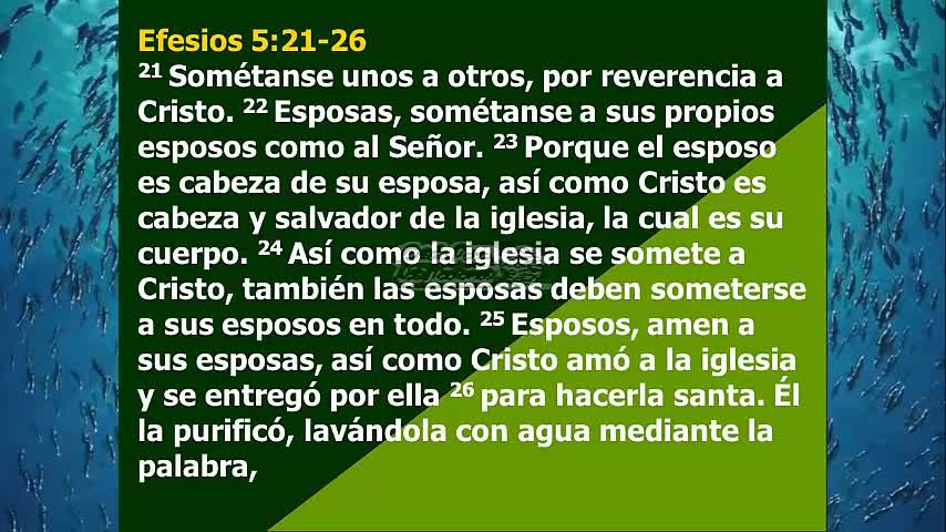 “Someteos unos a otros en el temor de Dios.”