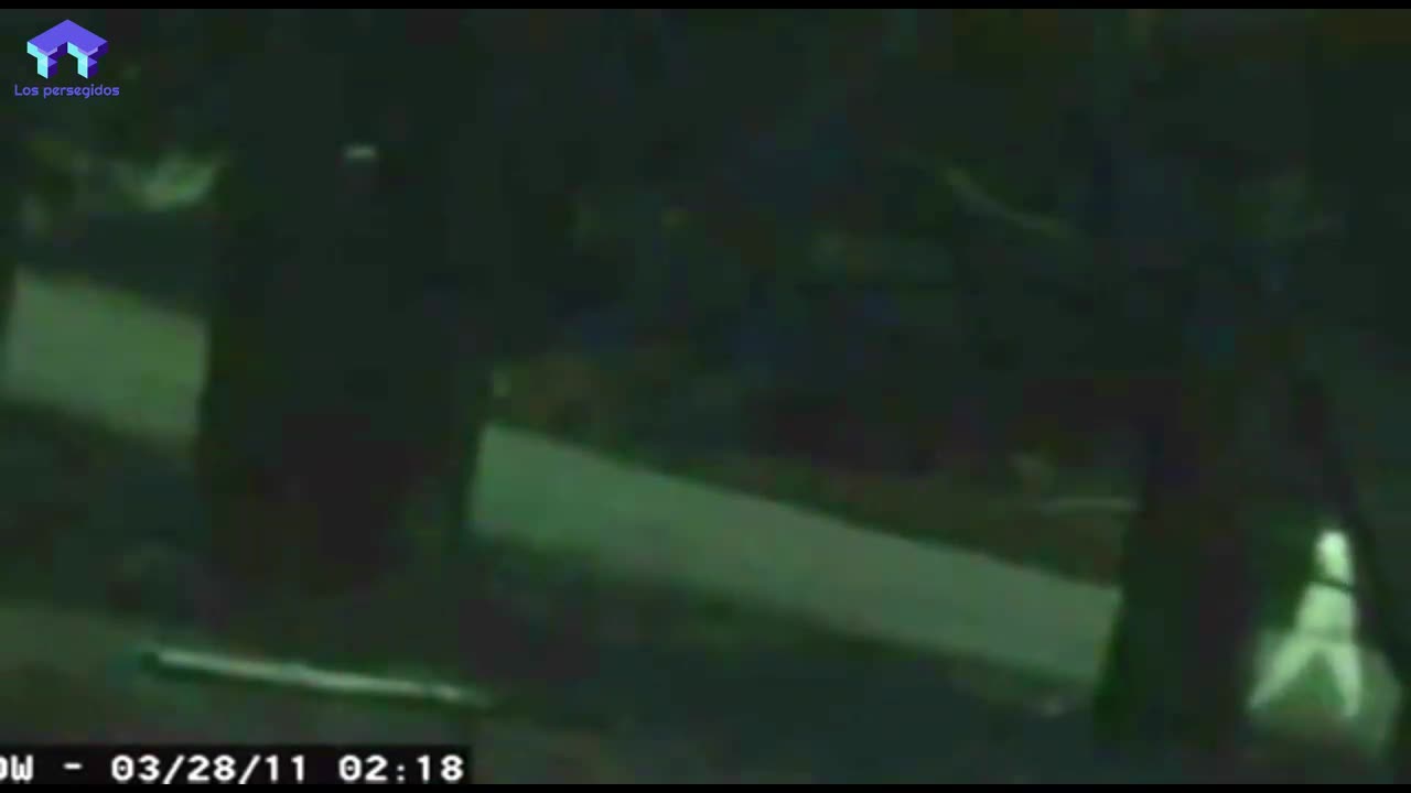 Los night crawler grabados