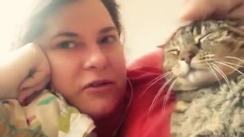 A CAT REALLY SAYS NO TO HEAD KISSES (LOVELY) (TALKING CATS)