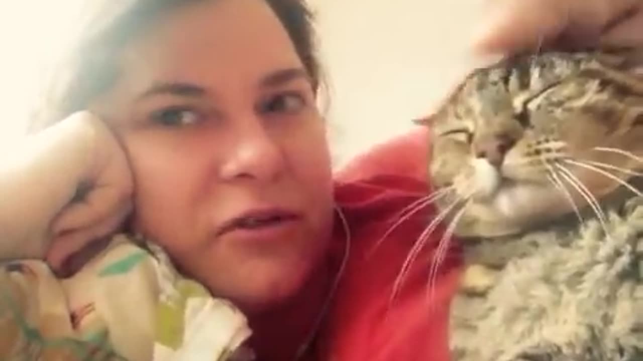 A CAT REALLY SAYS NO TO HEAD KISSES (LOVELY) (TALKING CATS)
