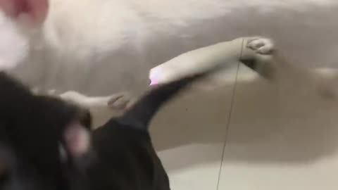Play time