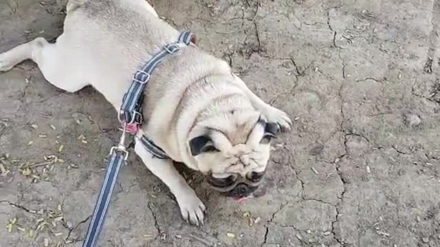 tired from running