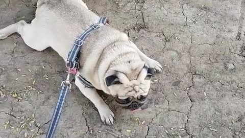 tired from running