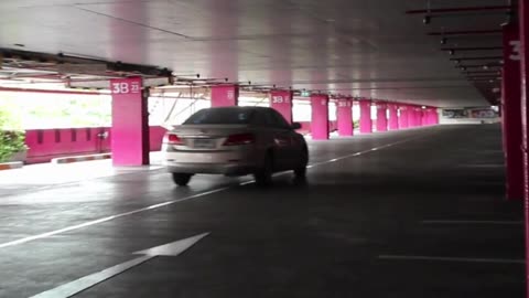 The automobile