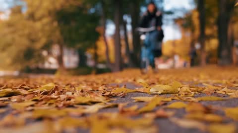 Enchanting Autumn Forests with Beautiful Piano Music