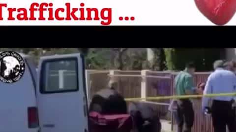 Human trafficking and Organ harvesting