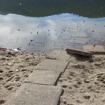 Doing Some Spring Cleaning.