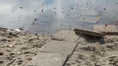 Doing Some Spring Cleaning.