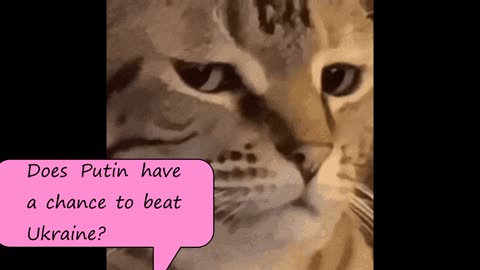 Putin's house cat was asked if there was a chance to defeat Ukraine